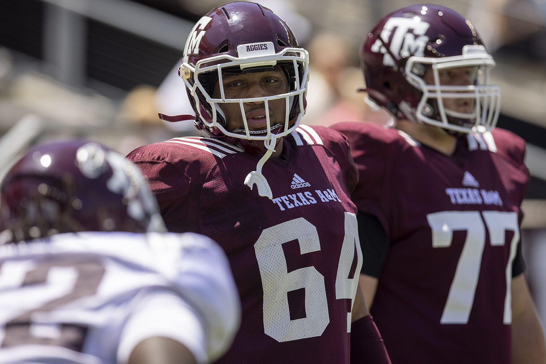 Maroon & White
